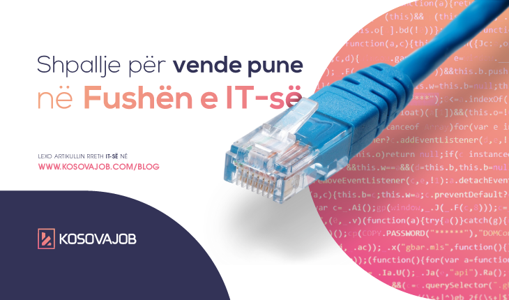 Pse profesionet në fushën e Informacionit konsiderohen si më të kërkuarat në treg
